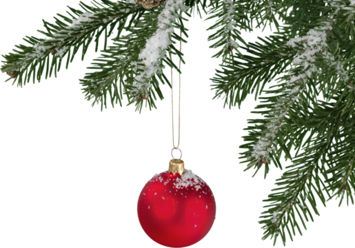 Red bauble on green christmas fir tree