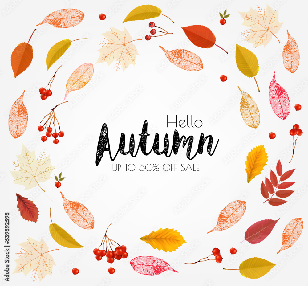 Aufkleber autumn colorful forest leaves and a red berries the shape of a ring sale frame. vector.