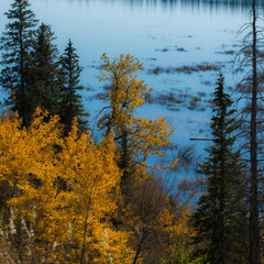 Lake with Trees in the Foreground in Autumn