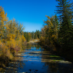 Fototapeta premium River with Trees on both sides in Autumn