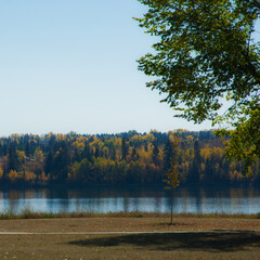 Forest and Lake in Autumn