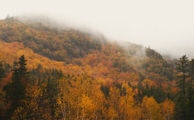 autumn in the mountains
