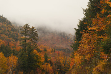 autumn in the mountains