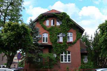 Beautiful view of modern cottage overgrown with green ivy outdoors on sunny day
