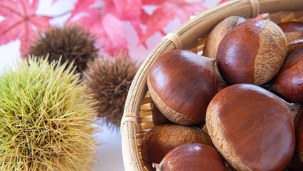 山盛りの栗