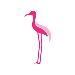 Flamingo icon template vector