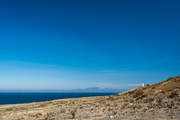 Dry Vegetation  Covers Wide Field On Top Of Anacapa Island