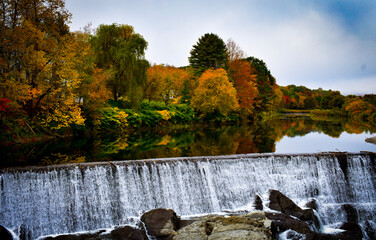 Fototapeta premium autumn in the forest