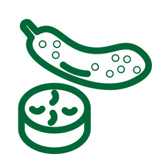 cucumber food ingredient organic salad vegetable icon