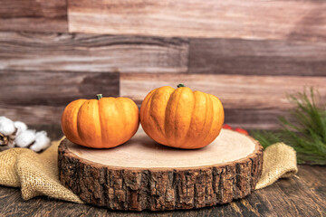 Two small pumpkins sitting on a cut log with a rustic wood background and extured burlap for fall autumn decoration in October with copy space