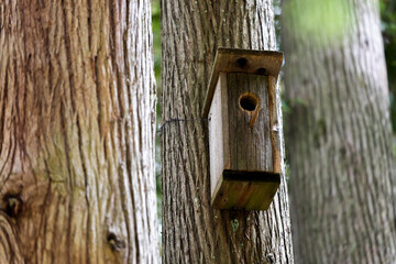 Wooden Birdhouse on a Tree Close Up Full Frame