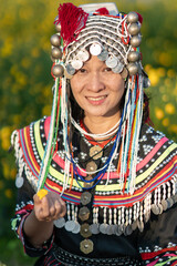 Hill tribe Asian woman in traditional clothes collecting Chrysanthemum with basket in tea plantations terrace, Chiang mai, Thailand collect Chrysanthemum