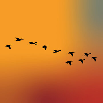 Silhouette Of A Flock Of Birds Or Geese Flying Vector