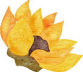 Naklejka premium Sunflower Watercolor Clip Art