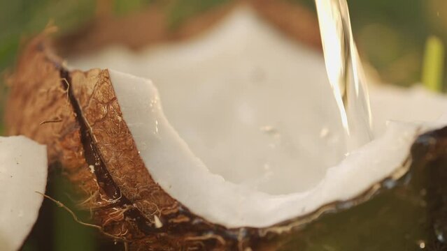 Slow motion shot of milk splashing on coconut