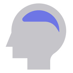 Brain flat style icon