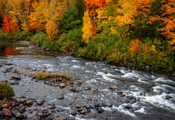 Colorful image of trees in vibrant fall colors next to a stream in Northern Ontario.