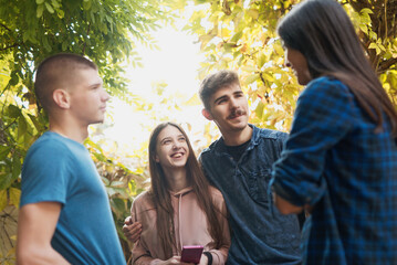 Group of four young friends hanging out together, teens or college guys, enjoying a nice autumn weekend outdoors