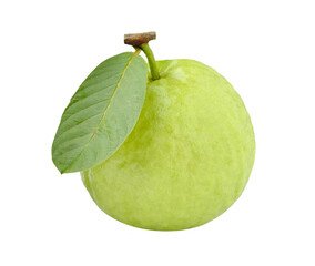 guava fruit isolated on transparent png