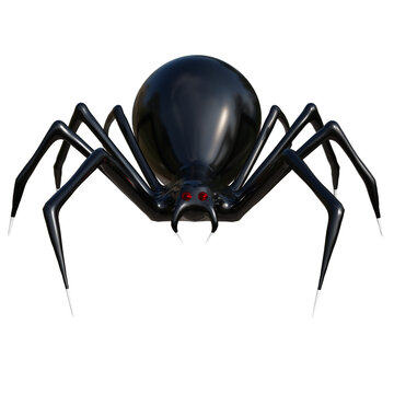 Realistic spider 3d rendering for Halloween decoration. PNG file.