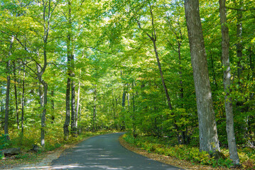 Obraz premium Ellison Bluff State Natural Area, Door County, Wisconsin