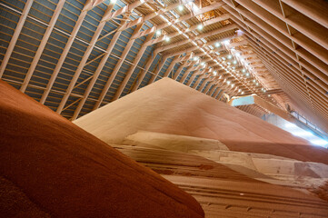 Pouring red phosphate fertilizers on pile in storehouse