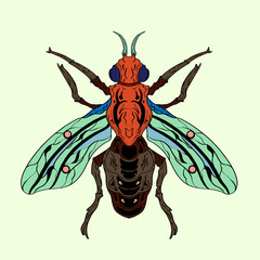 Insects Hand drawn Fun multicolor drawing. Modern stock vector illustration