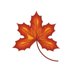 autumn leaf icon
