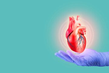 Hand and human heart on isolated green background, . Cardiology and medical care for heart problems. heart disease. Digital medicine and modern digital health. CHF, cardiomyopathy, myocarditis, arrhyt