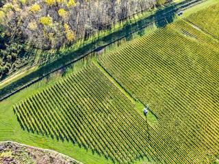 An aerial drone image of a Marlborough vineyard on a sunny early autumn day, South Island, New Zealand