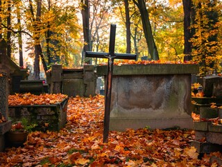 Rakowice w Krakowie w słoneczny, jesienny dzień