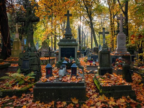 Rakowice w Krakowie w słoneczny, jesienny dzień
