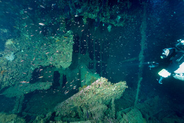 Sub sul relitto del Podestà, nave da carico della marina italiana affondata durante la seconda...
