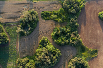 Crop fields and groves in nature park, aerial view - 539623114