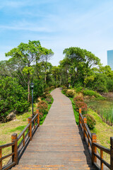 boardwalk in the City Park