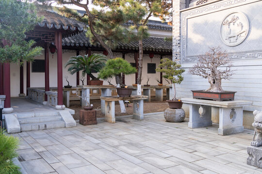 Original traditional Chinese art penjing or penzai. Miniature living landscape. Bonsai mini tree