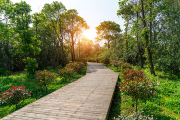 boardwalk in the City Park