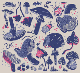 Set of hand drawn graphics silhouette style forest theme: mushrooms, leaves, beetle, moth, earthworm, berry, acorn, snail. Fly agaric, chanterelle, grebe, white mushroom for design and stickers