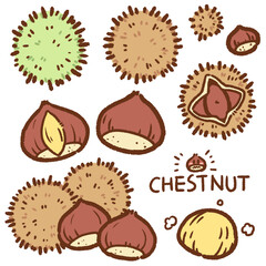 chestnut cartoon drawing set