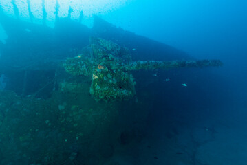 Cannone del relitto del Gazzella, corvetta della marina italiana affondata durante la seconda...