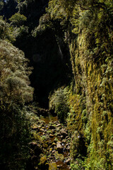 Vereda das 25 fontes hiking on Maderia