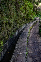 Obraz premium Vereda das 25 fontes hiking on Maderia