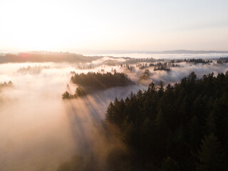 sunrise over the river