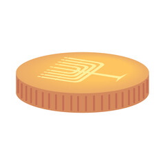 hanukkah gold coin