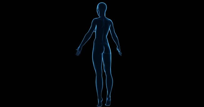 3D Female Hologram Spinning Loop Animation on Black Background