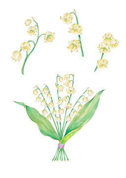 hand painted watercolor illustration of lily of the valley, isolated