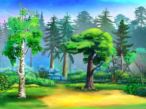 Trees on a forest clearing illustration