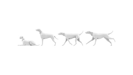 3D High Poly Dogs - SET1 Monochromatic - Left View
