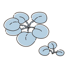 フロッグピッドのイラスト（水草）