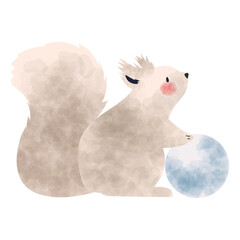 squirrel winter animal